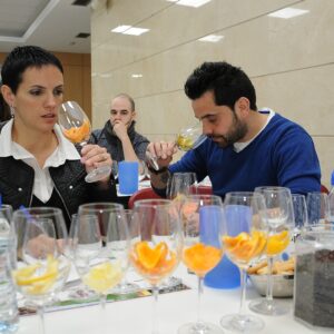 Pack Completo | Iniciación + Intermedio + Avanzado